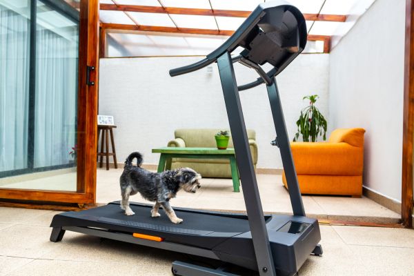 Treadmill Installation in Dublin