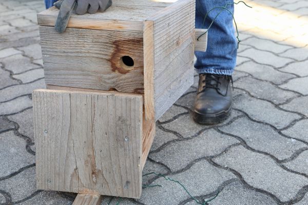 Birdhouse Mounting in Dublin