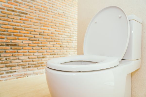Toilet Seat Repair in Dublin